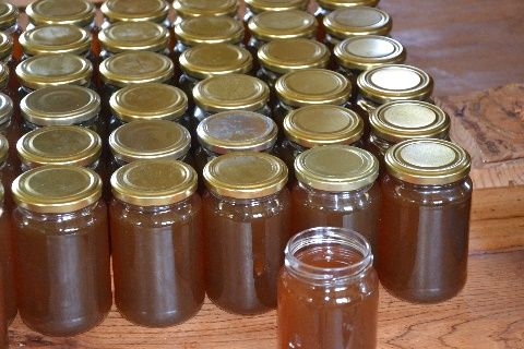 abeille-4.jpg