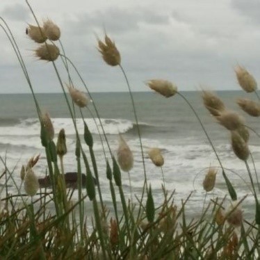 les-ruchers-de-st-gilles