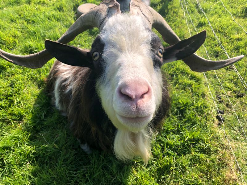 Une ferme vivante
